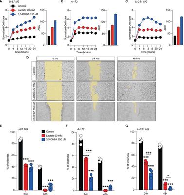 Lactate Induces the Expressions of MCT1 and HCAR1 to Promote Tumor Growth and Progression in Glioblastoma